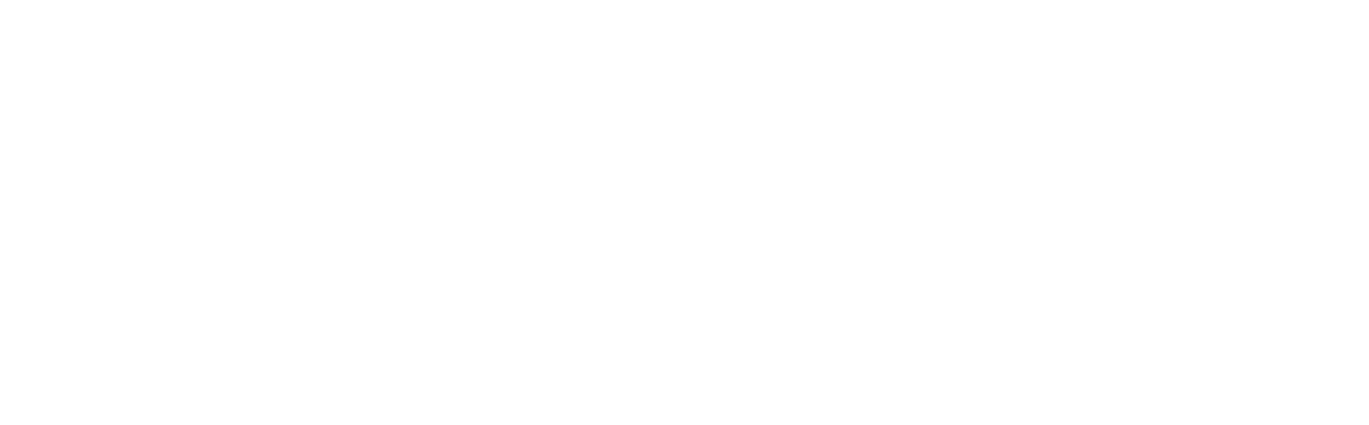 LOGOTIPO DIKLATEX-02