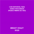 BRIGHT VIOLET 95129- CARTELA PT